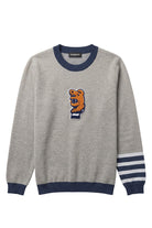 Penn State Nittany Lion head chenille varsity patch with scarf in brown, navy and white sewn onto center front chest of light grey classic crewneck knit sweater with navy trim and navy and white stripe detail on left sleeve.