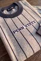 Penn State University block letter embroidered iron-on varsity patch in navy and white sewn onto center front chest of light grey and navy pinstripe classic crewneck knit sweater